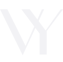 VY Logo